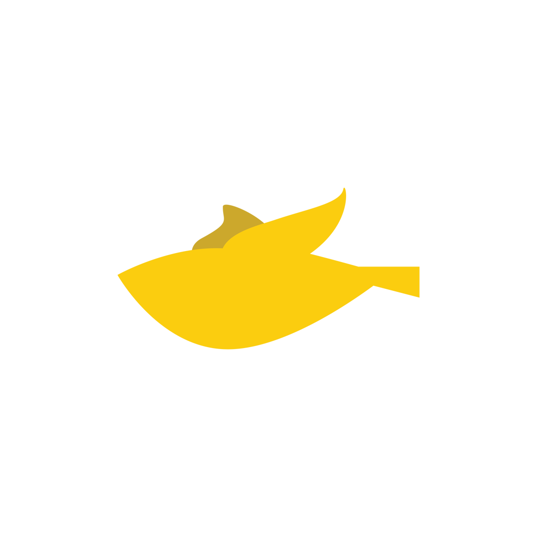 Bird Default (WEB)_160